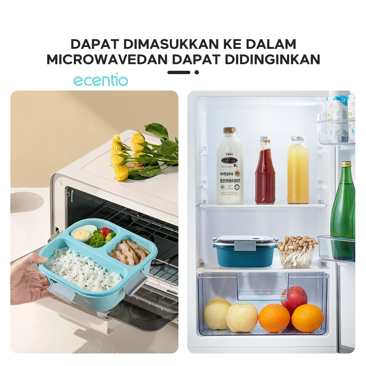 【BUY 1 GET 4】ecentio 4pcs Kotak Makan set - ecentio