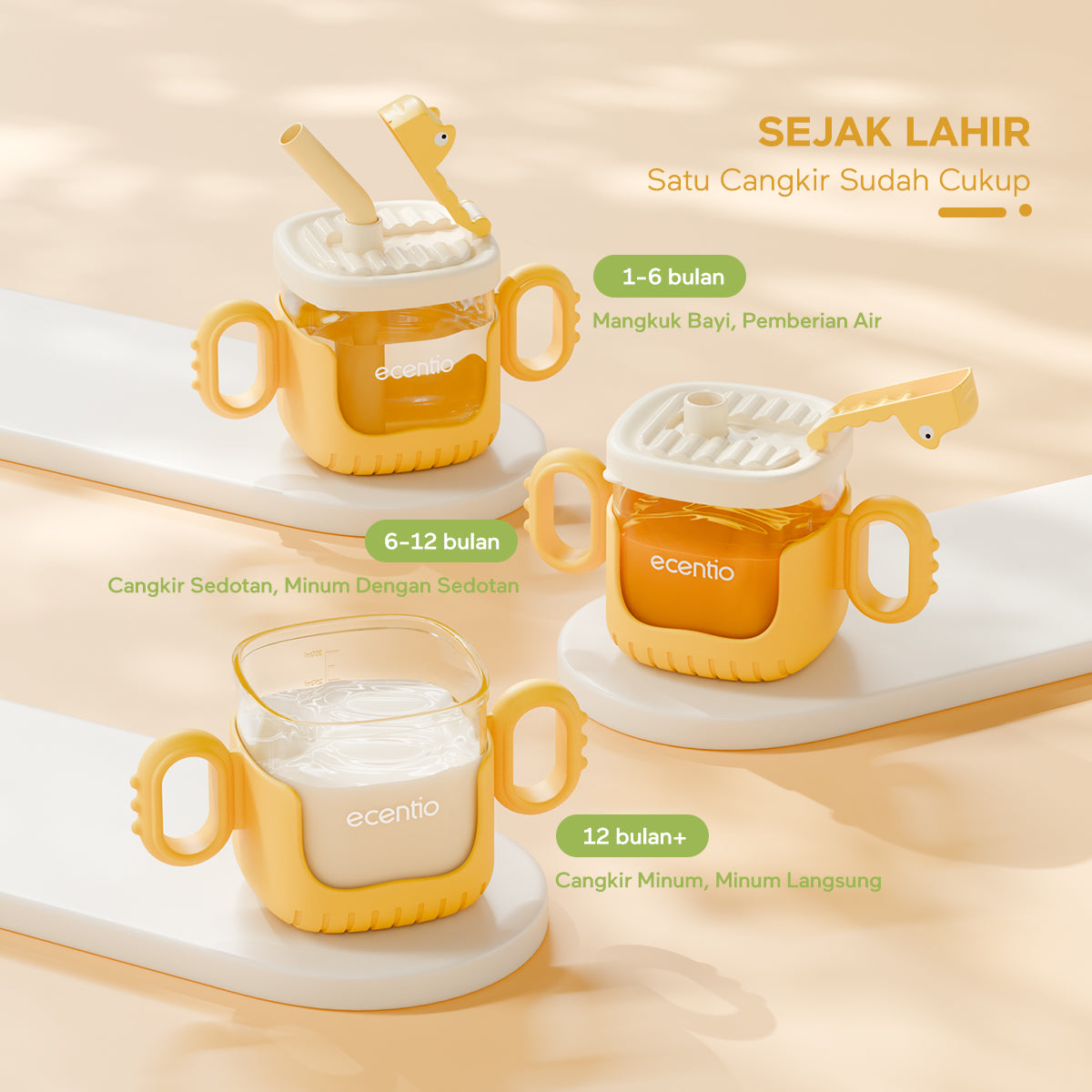 ecentiokids Training Cup Baby Sippy Cup bayi Botol Minum Sedotan anak - ecentio