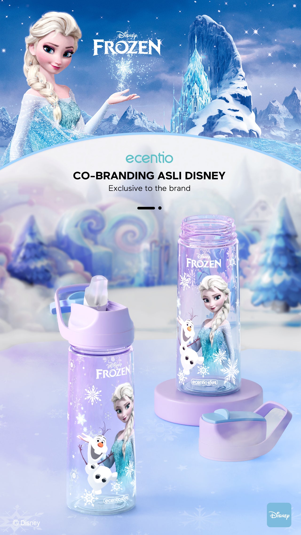 ecentio botol minum anak Disney Elsa perempuan botol air sekolah BPA free