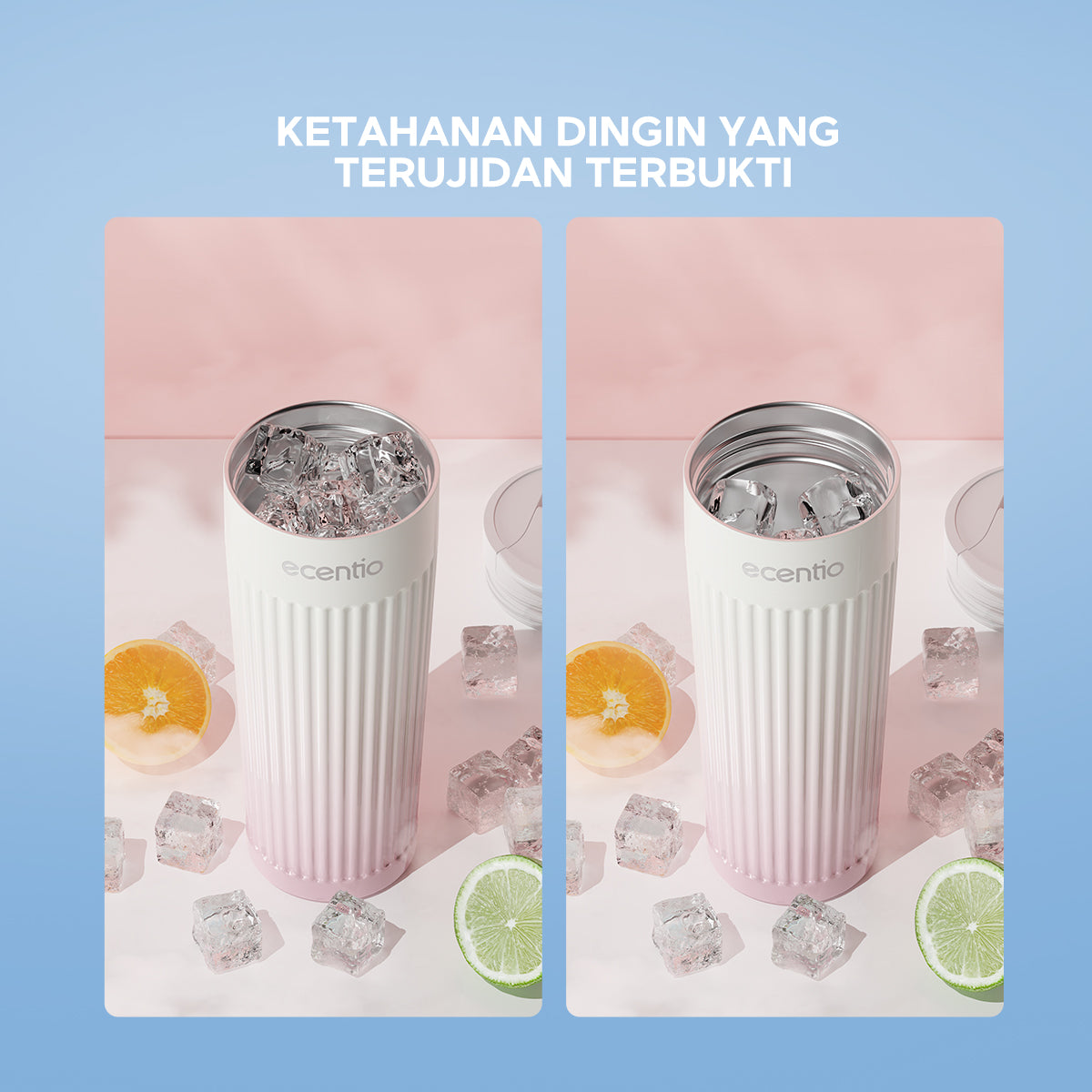 ecentio Botol Minum tumbler coffee Aurora seri Bottle 500ml - ecentio